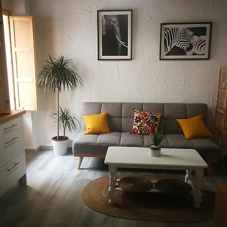 Apartamento La Zarzamora-patio Privado Apartment Jerez de la Frontera